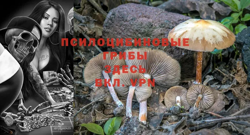 Галлюциногенные грибы Magic Shrooms Жирновск